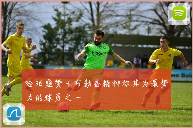 哈珀盛赞卡布勤奋精神称其为最努力的球员之一