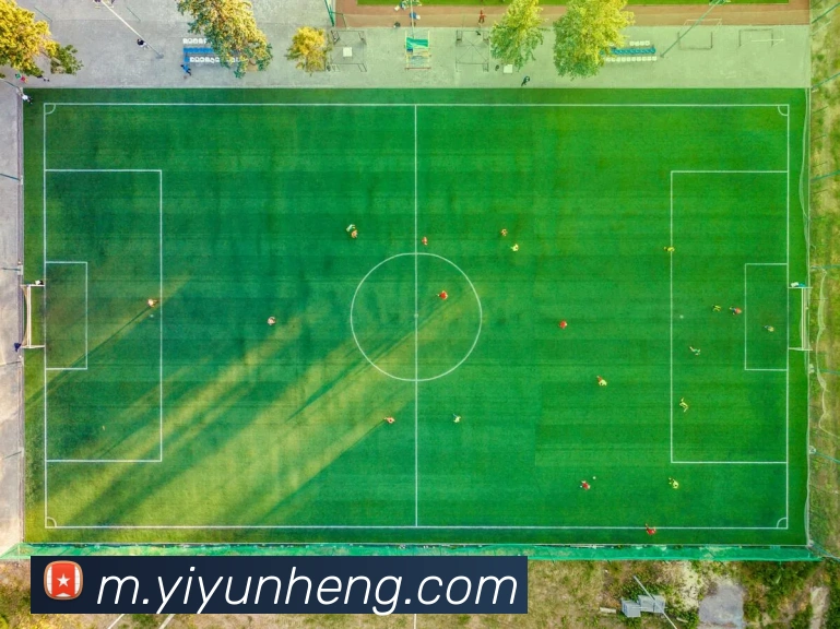 奖项证书
